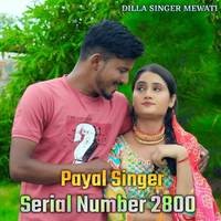 Payal Singer Serial Number 2800