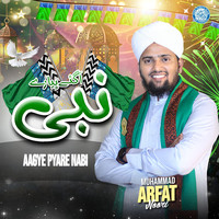 Aagye Pyare Nabi