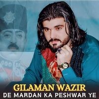 De Mardan Ka Peshwar Ye