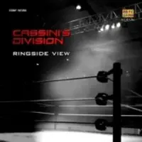 Cassinis Division Ringside View