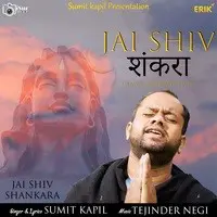 Jai Shiv Shankara