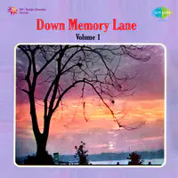 Down Memory Lane Vol 1