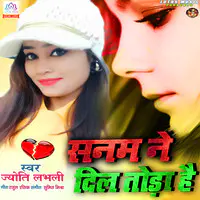 Sanam Ne Dil Toda Hai