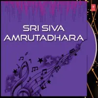 Sri Siva Amrutadhara