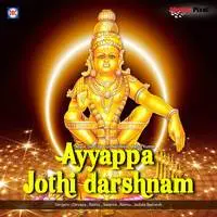Ayyappa Jothi Darshnam