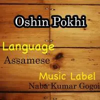 Oshin Pokhi