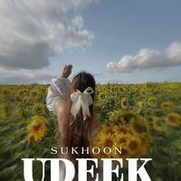 Udeek