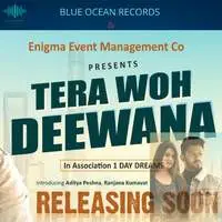 Tera Wo Deewana