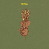 Aerness