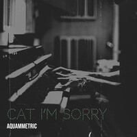 Cat I’m Sorry