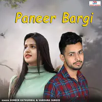 Paneer Bargi