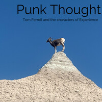 Punk Thought