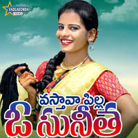 Vasthava Pilla O Sunitha