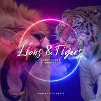 Lions & Tigers