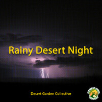 Rainy Desert Night