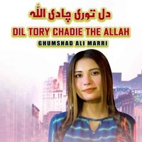 Dil Tory Chadie The Allah