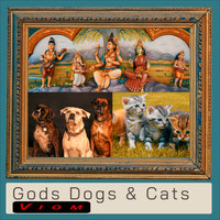 Gods Dogs and Cats