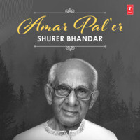 Amar Pal'er Shurer Bhandar