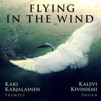 Flying in the Wind