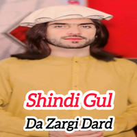 Da Zargi Dard