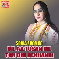 Dil Aa Tosan Dil Ton Bhi Dekhanri