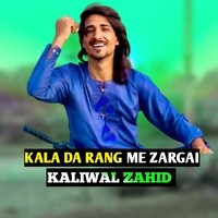 KALA DA RANG ME ZARGAI