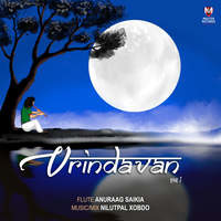 Vrindavan Vol 1