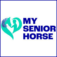 My Senior Horse - season - 1