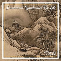 Sensational Symphonies For Life, Vol. 23 - Friedrich; Modern Trumpet