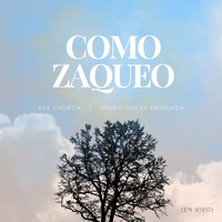 Como Zaqueo (En Vivo)