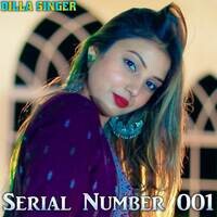 Serial Number 001