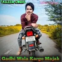 Gadhi Wala Kargo Majak