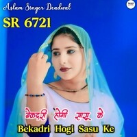 Aslam Singer SR 6721