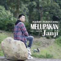 Harry Parintang - Melupakan Janji