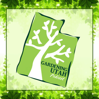 Anderson's Seed and Garden Talks seeds, Vegetables, Berries and Fruit Trees Episode 72 MP3 Song Download by Gardening Utah (Gardening Utah Podcast - season - 1)| Listen Anderson's Seed and Garden Talks seeds, Vegetables, Berries and Fruit Trees Episode 72 Song Free Online - Vimarsana News
