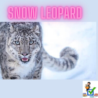 SNOW LEOPARD in INDIA #upsc #prelims #biodiversity #environment #