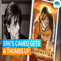 Brahmastra Shah Rukh Khans Cameo In The Ranbir Kapoor Starrer Wins