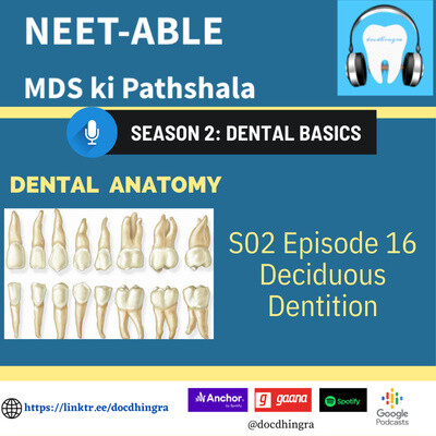Dental Anatomy: Deciduous Dentition MP3 Song Download (NEET-able: MDS