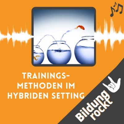 Trainingsmethoden im hybriden Setting MP3 Song Download by Sandra