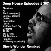 Ep 307: Stevie Wonder Remixed Song||Deep House Episodes - season