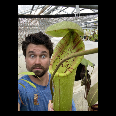 Nepenthes Tropical Pitcher Plants With Jeremiah Harris Song|Bill Strand ...