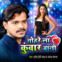 O My Darling Love You Mp3 Song Download O My Darling Love You O My Darling Love You Bhojpuri Song By Satya On Gaana Com