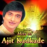 Hits of Ajit Kadkade