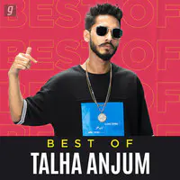 Best of Talha Anjum