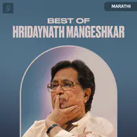 Best Of Hridaynath Mangeshkar