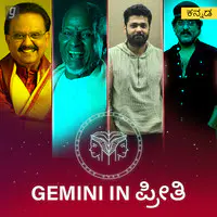 Gemini in Preethi