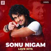 download songs of sonu nigam sad song