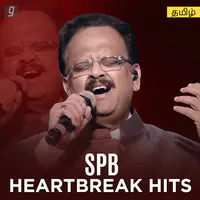 SPB Heartbreak Hits
