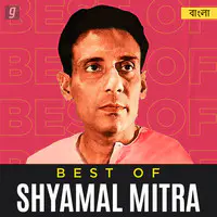 Best of Shyamal Mitra