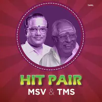 Hit Pair : MSV - TMS